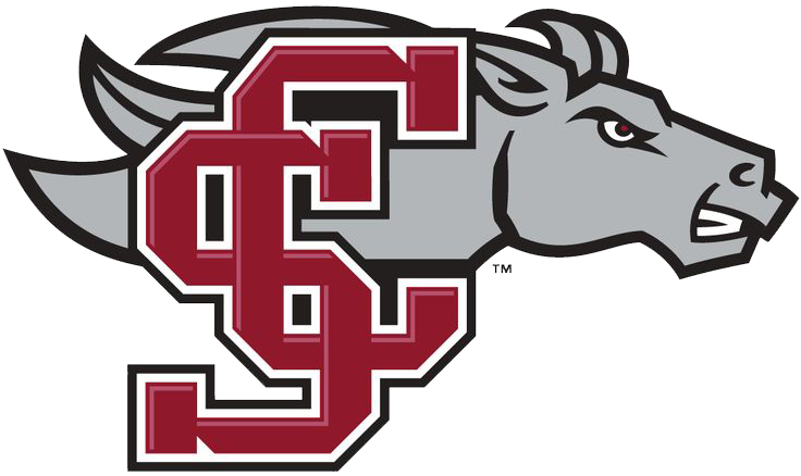 Santa Clara University (CA)